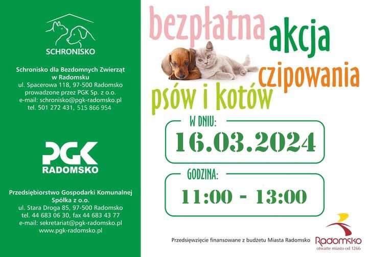 Bezpłatne czipowanie psów i kotów dla mieszkańców miasta Radomska