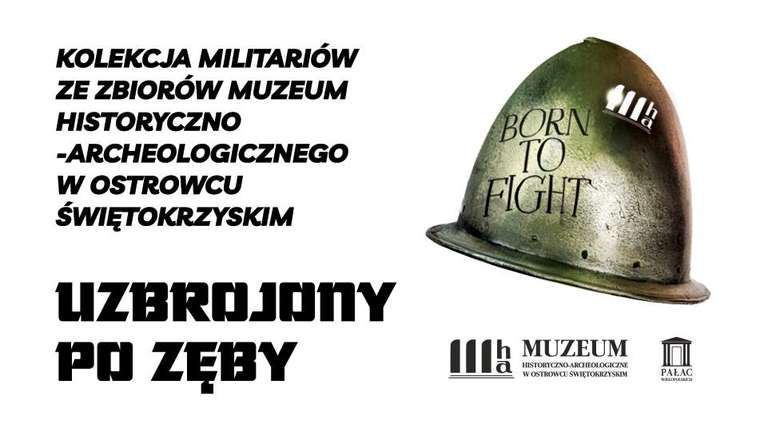 „Uzbrojony po zęby”. Wystawa militariów w Pałacu Wielkopolskich w Częstocicach >>> bezpłatny wstęp