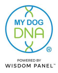 Kompleksowe badanie profilu DNA dla psa taniej o 25 euro z kodem TRYMDD