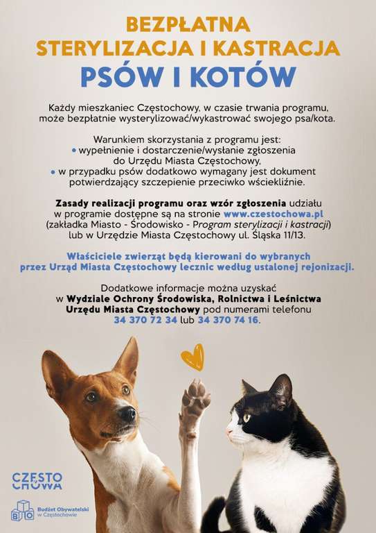 Bezpłatna sterylizacja psów i kotów w Częstochowie