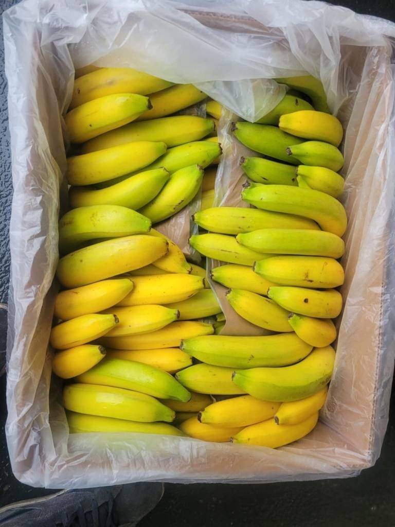 Banan karton 17 kg (kraj poch. Kolumbia) darmowa dostawa powyżej 60zl