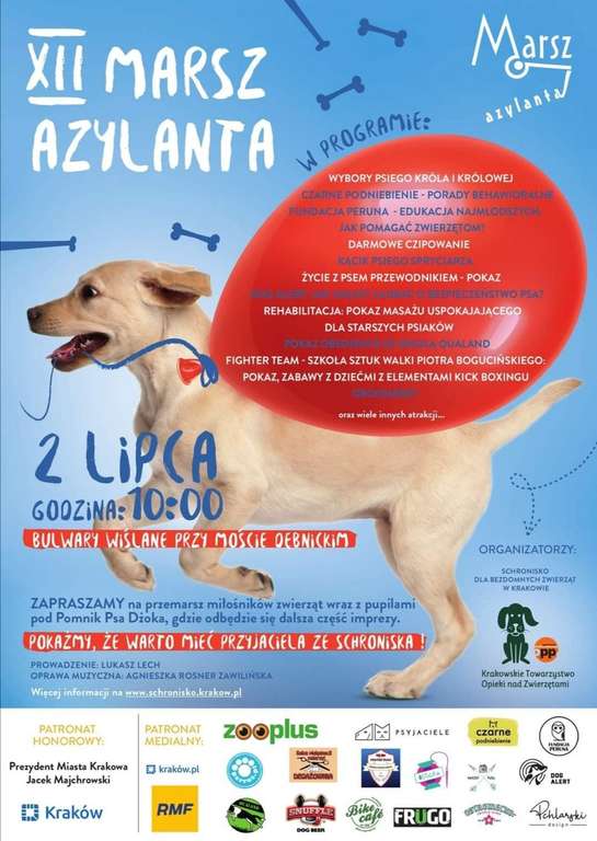 XII Marsz Azylanta w Krakowie - darmowe czipowanie Kraków chip psy