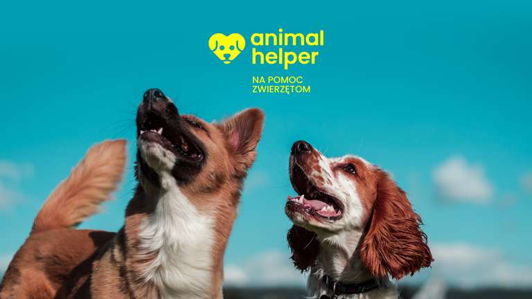 Pobierz bezpłatną aplikację Animal Helper i pomóż ratować zwierzęta