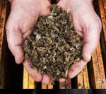 10 sadzonek za 1zł Fundacja Ratujmy Pszczoły