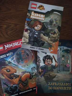Książeczki (komiksy, zadania) LEGO Jurassic World, Ninjago, Harry Potter, City z minifigurkami po 7zł szt Dealz