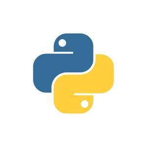 Python Crash Course: Dive into Coding with Hands-On Projects