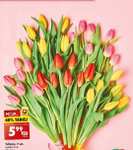 Tulipany 4,49zł 7sztuk przy zakupie 4 bukietów