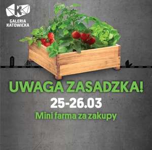 Mini farma za zakupy za 200 zł Galeria Katowicka