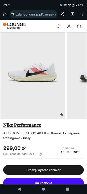 Buty treningowe Nike Pegasus 40 za 299zl