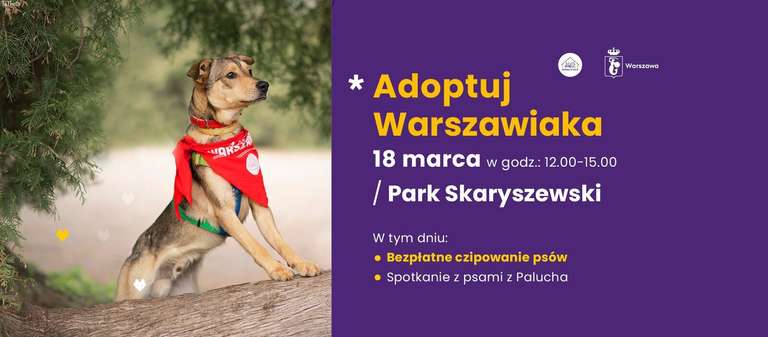 Adoptuj Warszawiaka >>> bezpłatne czipowanie psów na Pradze (Warszawa)