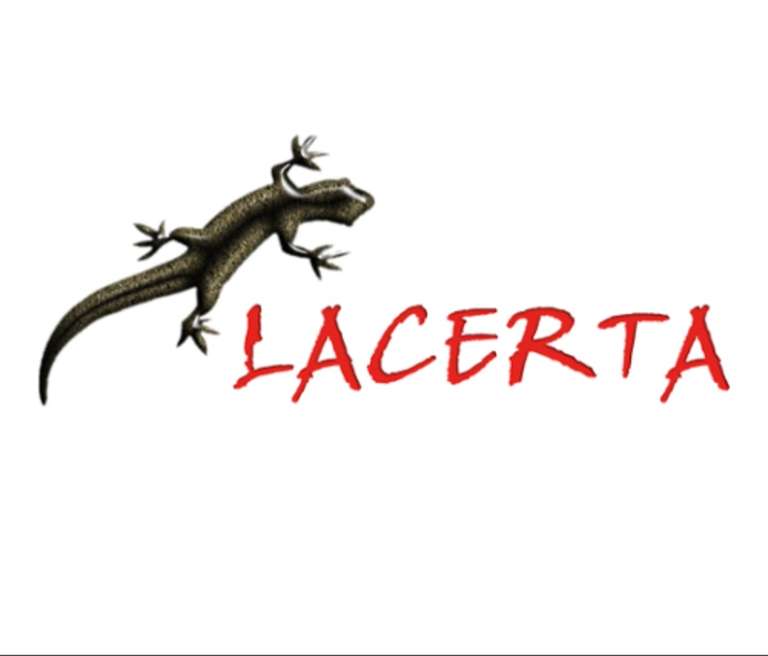Gry Planszowe wydawnictwo Lacerta (wiele gier np. Wyspa skye, Wyprawa do Newdale, Fudżi, Lutecja, Spirit Island) - ostatnia promocja