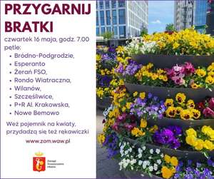 Bratki za darmo, 16 maja. Akcja dotyczy krańcowych przystanków autobusowych i tramwajowych w Warszawie