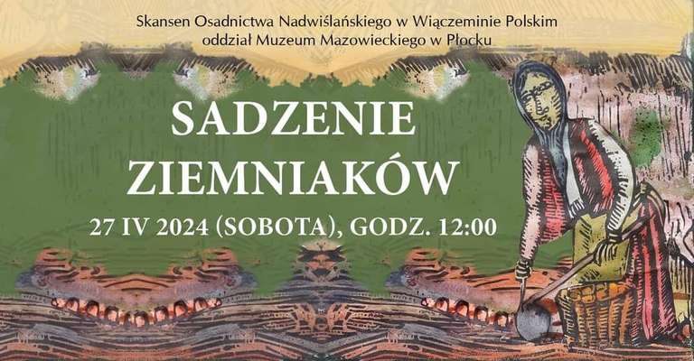 Sadzenie ziemniaków w Skansenie Osadnictwa Nadwiślańskiego Wiączeminie Polskim>>> degustacja i bezpłatny wstęp