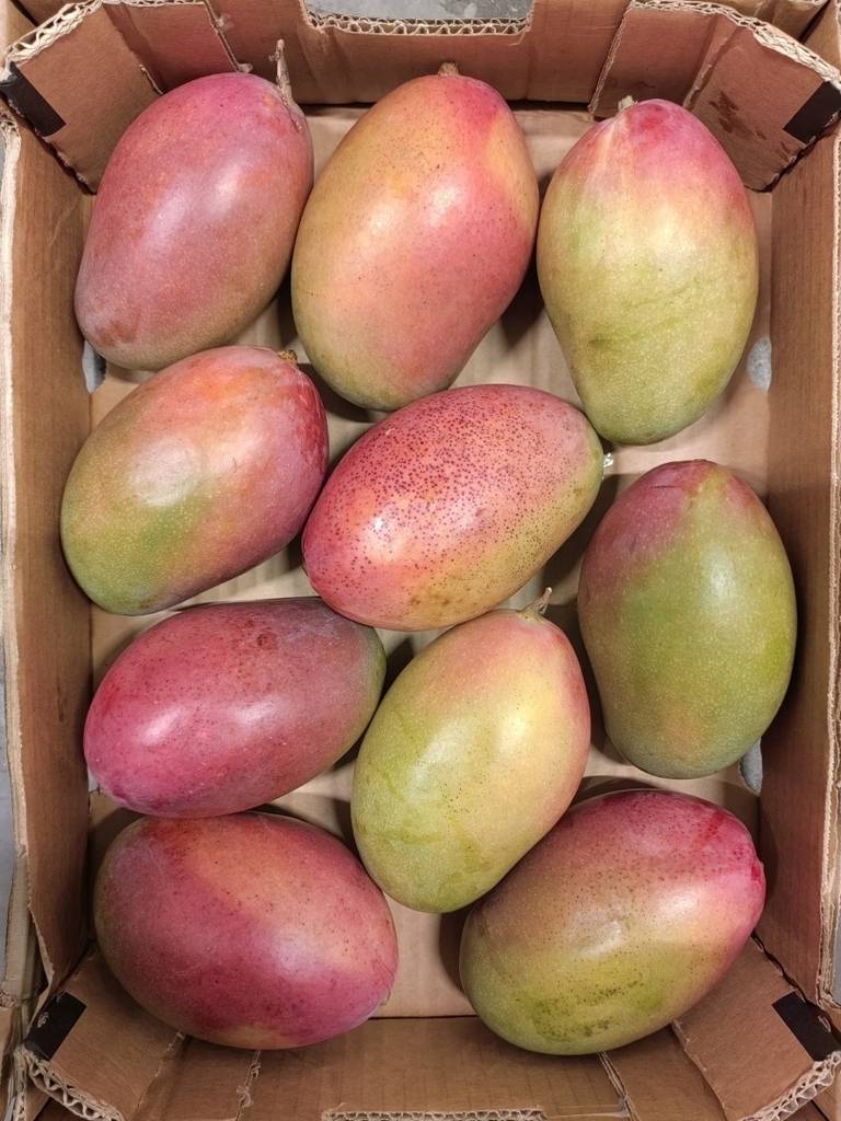 12 kg Mango za 39,99 zł - 1kg za 3,33 zł