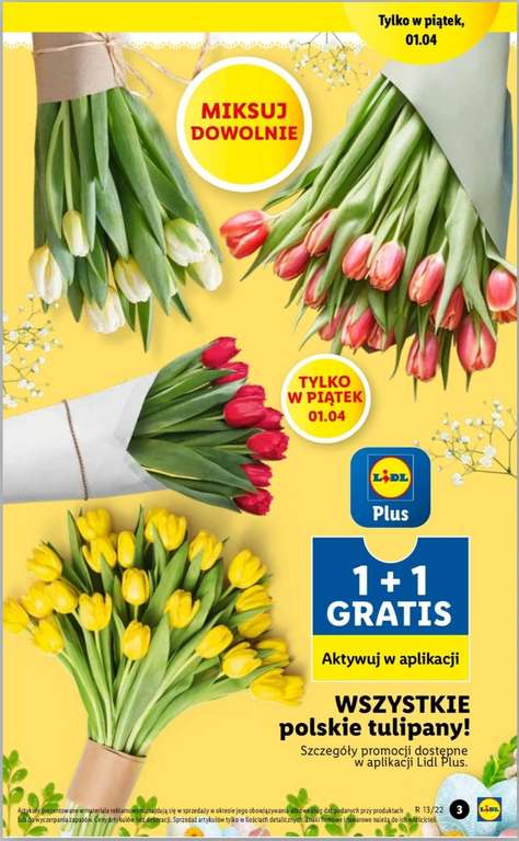 Wszystkie polskie tulipany 1+1 gratis | miksuj dowolnie | tylko w piątek 01.04. z kuponem w aplikacji | LIDL |