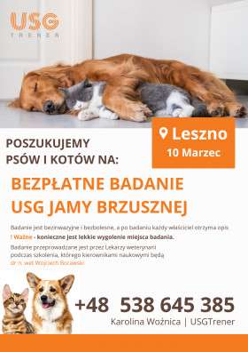 Bezpłatne badanie USG dla psów i kotów przy Al. Krasińskiego 20 A w Lesznie