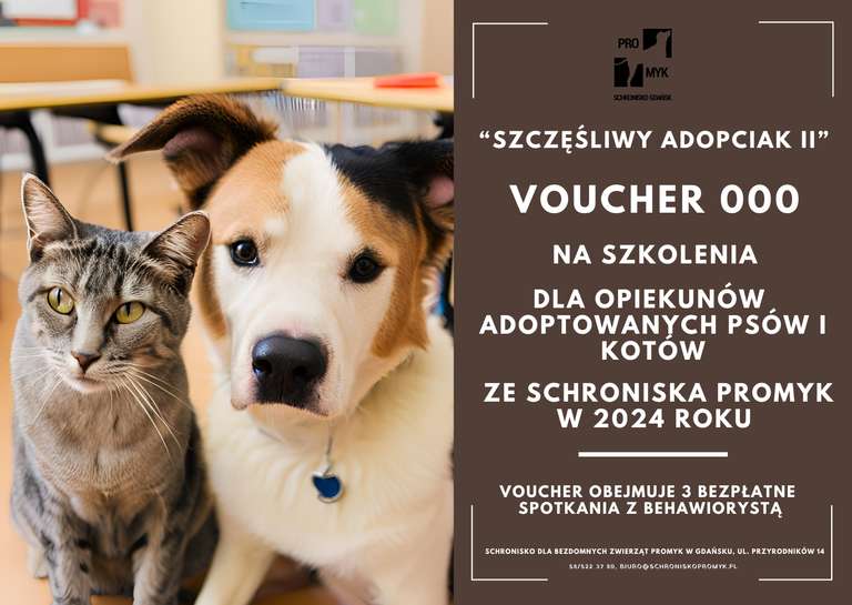 Voucher uprawniający do 3 spotkań z behawiorystą dla osób odoptujących koty lub psy ze schroniska w Gdańsku