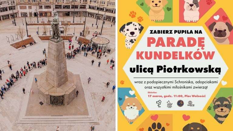 Parada Kundelków ulicą Piotrkowską w Łodzi. Bezpłatne czipowanie, zwierzęta do adopcji i nie tylko