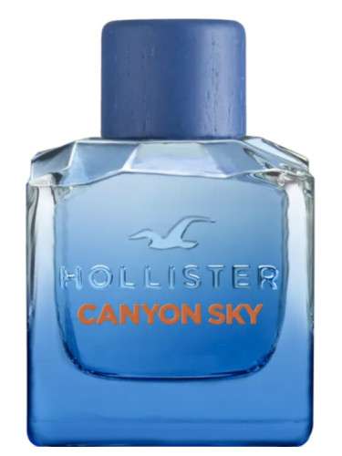 Hollister Canyon Sky For Him Woda toaletowa 100ml