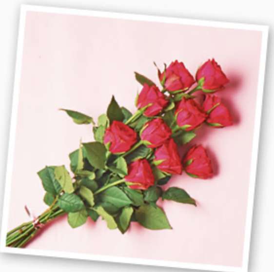 BIEDRONKA Róża Premium 50cm czerwona zestaw 10 sztuk