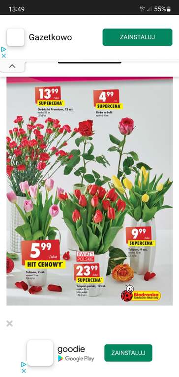Biedronka tulipany 5.99 -bukiet 7 sztuk / 23.99 - bukiet 19 sztuk