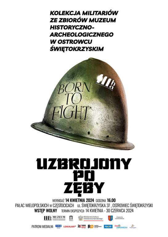 „Uzbrojony po zęby”. Wystawa militariów w Pałacu Wielkopolskich w Częstocicach >>> bezpłatny wstęp