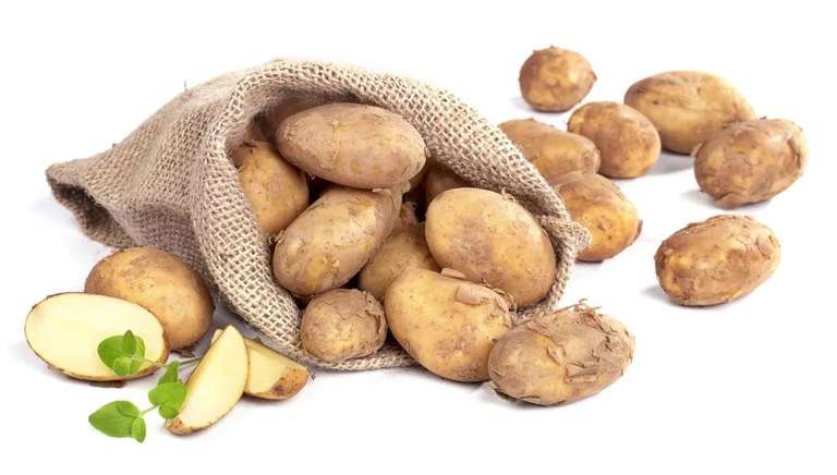 Ziemniaki wczesne ważone
