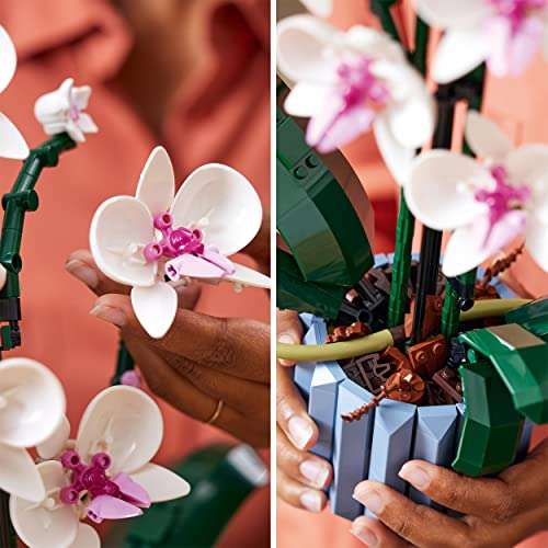 LEGO ICONS 10311 Orchidea | Amazon | 29,40€