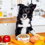 Katering karma dla psa Piesotto 50% na pierwszą i 25% na drugą dostawę