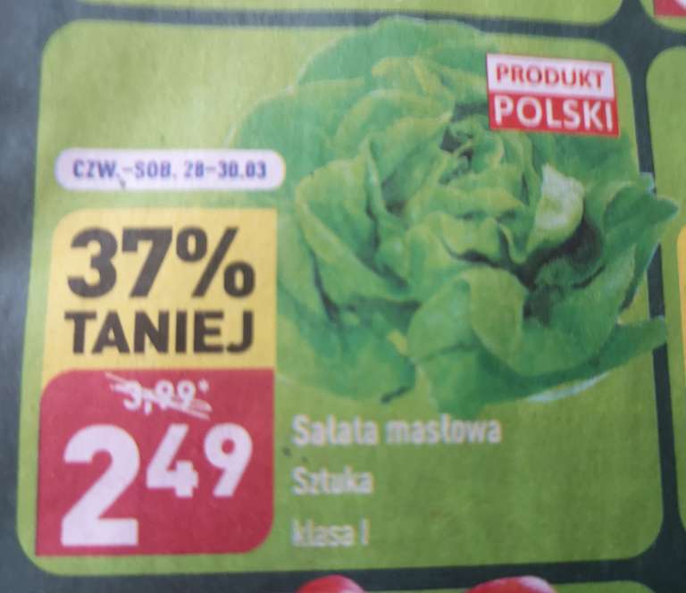 Polska sałata masłowa 2,49zl /szt @Aldi