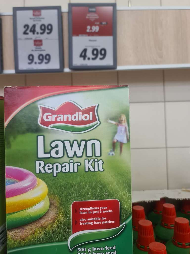 Lawn Repair Kit, mieszanka do renowacji trawników Grandiol 1kg w Lidlu