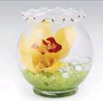 Kwiat CYMBIDIUM w szklanej kuli. BIEDRONKA