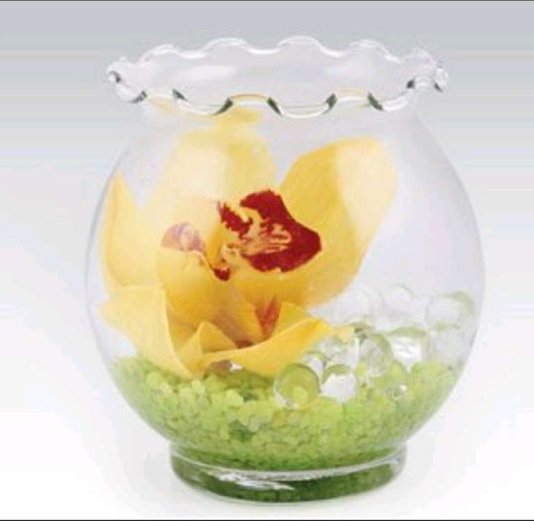 Kwiat CYMBIDIUM w szklanej kuli. BIEDRONKA