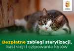 Bezpłatna sterylizacja, kastracja i elektroniczne znakowania (czipowania) psów i kotów w Otwocku