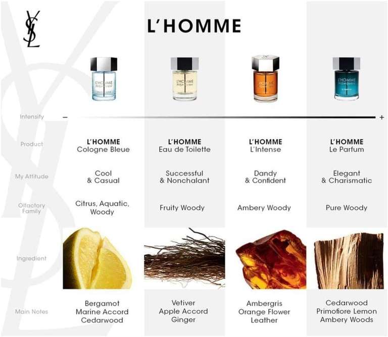 Yves Saint Laurent L'Homme Parfum Eau De Parfum 100 m