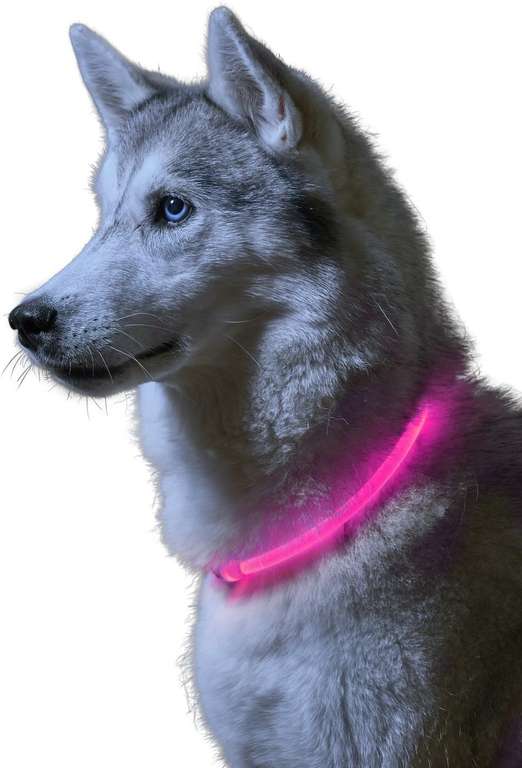 Obroża dla psa z migoczącymi diodami LED, różowa ,min. dł: 20 cm, maks. dł: 60 cm, widoczna do 300 m