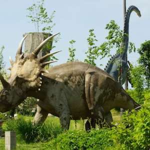 bilety do Paruk Dinozaurów i Rozrywki Dinolandia w Inwałdzie za 13.50zł/os. @ Travelbird