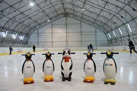 Wejście na lodowisko za darmo po zakupie 3 Kinder Pingui (Pula 20000)
