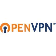 OPEN VPN - darmowy sposób na gry za połowę ceny