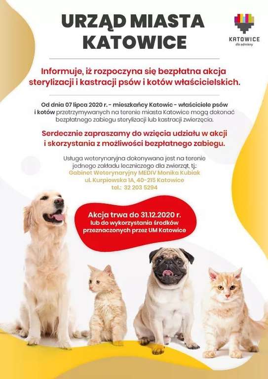Bezpłatny zabieg sterylizacji i kastracji psów i kotów w Katowicach