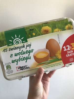 Top Market 15 jajek z wolnego wybiegu za 7,99 zł