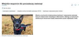 Darmowa kastracja/sterylizacja i czipowanie zwierząt - Warszawa