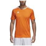 Koszulka męska adidas Entrada 18 pomarańczowa CD8366 - M, L, XL