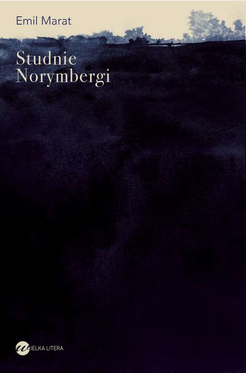książka Studnie Norymbergi - Emil Marat