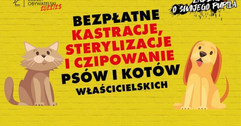 Bezpłatne sterylizacje, kastracje, czipowanie psów i kotów w Łodzi