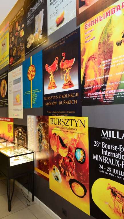 Muzeum Bursztynu w Krakowie - bezpłatny wstęp