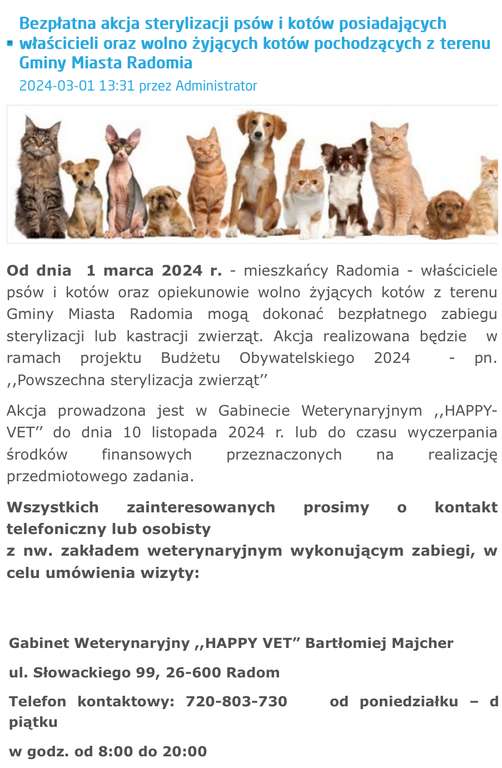 Bezpłatna sterylizacja psów i kotów w Radomiu, zwierząt domowych i wolno żyjących.