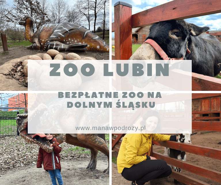 Zoo w Lubinie – bezpłatny ogród zoologicznym przez cały rok na Dolnym Śląsku