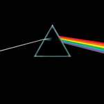 Winyl The Dark Side of The Moon Pink Floyd