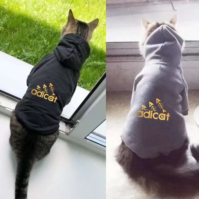[Aliexpress] Bluza dla kota - Adicat